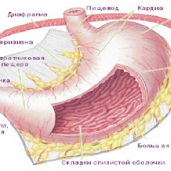 Новости медицины