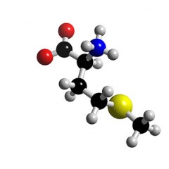 Метионин — риск развития болезни